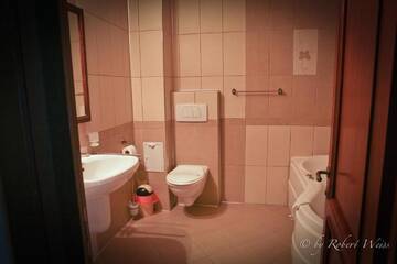 Фото номера Улучшенный двухместный номер с 1 кроватью Гостевой дом Pensiunea Vlahia Inn г. Мойечу-де-Сус 5